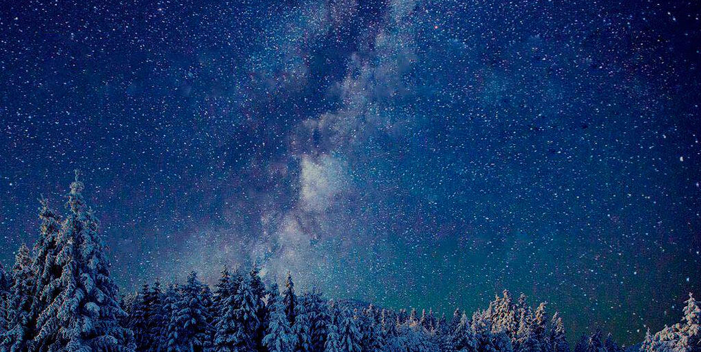 Η νηστεία των Χριστουγέννων: Τι χρειάζεται να ξέρουμε