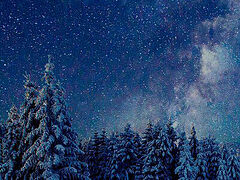 Η νηστεία των Χριστουγέννων: Τι χρειάζεται να ξέρουμε