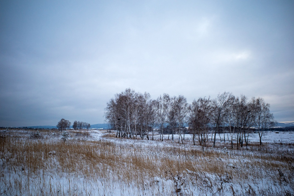 On the road to the Esaulovka river—tributary of the Enisei