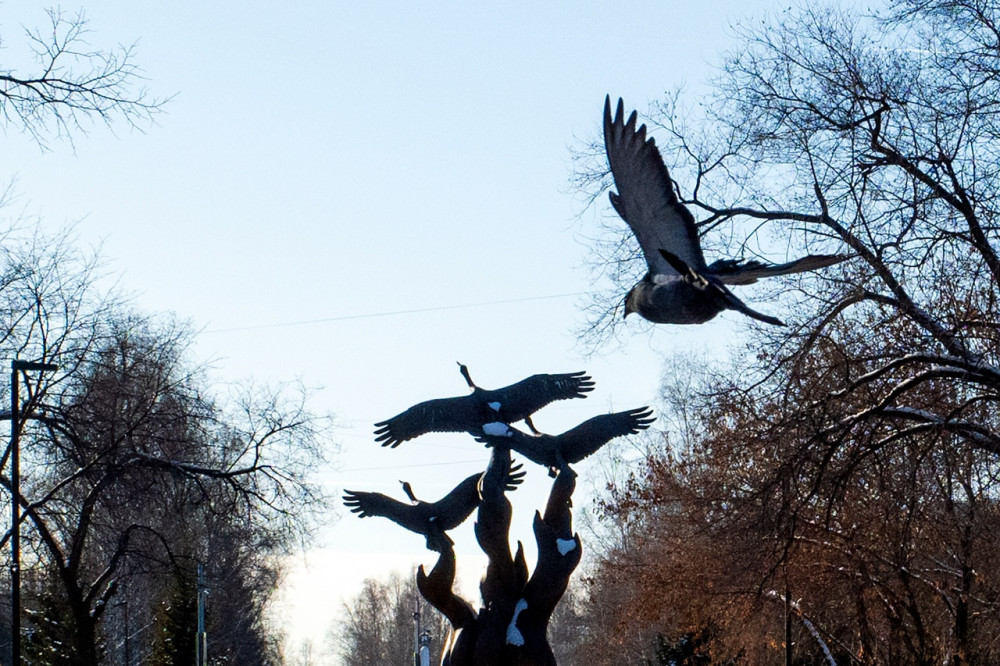 Sculpture “Cranes of My Memory” in the war veterans’ alley