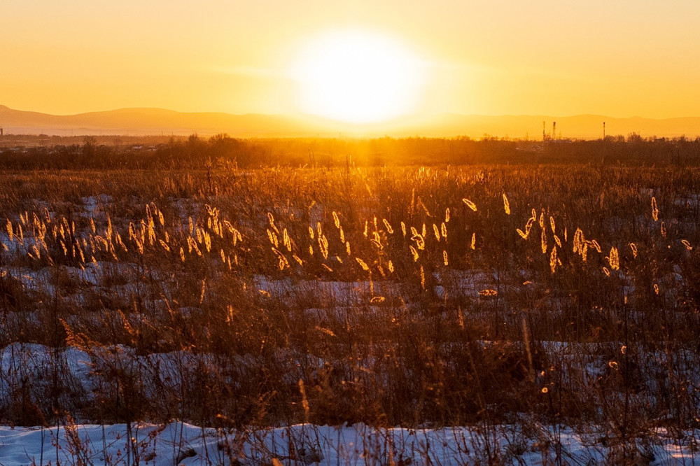 Sunset in the field outside the city