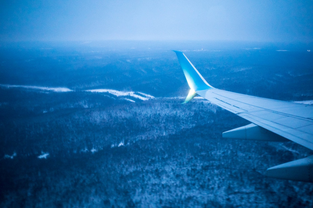 Time to go home. Taiga under the airplane wing