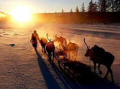 Field Mission to the Wild Siberian Dauria Country
