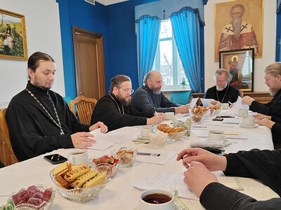 Состоялась встреча врио председателя Синодального отдела по благотворительности с ответственными за больничное служение в Московской митрополии