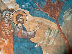 The Power of the Divine Word