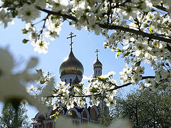 We Must Resurrect While Still Here