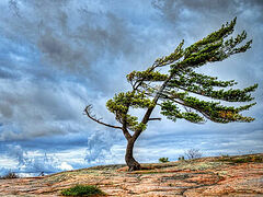 Сокровенный сердца человек