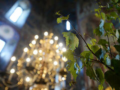 The Holy Spirit in the Orthodox Tradition