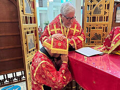 Graduates of OCA Diocese of Mexico’s pastoral school ordained