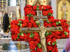 Following the Savior on the Path of the Cross