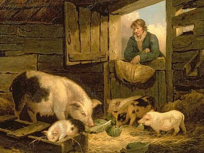 Свинья или вечность?