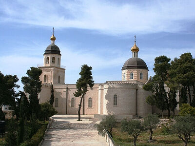 Злоумышленники подожгли сад на территории подворья Русской Церкви в Хевроне