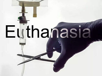 В Новой Зеландии число случаев эвтаназии за год выросло на 37%