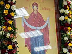 «Σώσε τον μπαμπά μου»