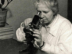 Schemanun Ignatia, a Professor and a Secret Nun