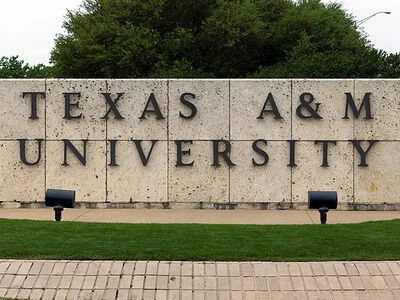 Техасский университет A&amp;M уволил трех сотрудников за разговоры о гендере на занятиях