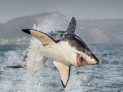 «Думала, что спасаю сына от армии, оказалось – толкнула в объятия смерти»