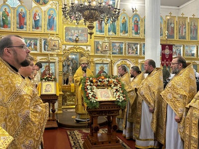 Состоялась поездка председателя Синодального отдела по благотворительности в Горловку