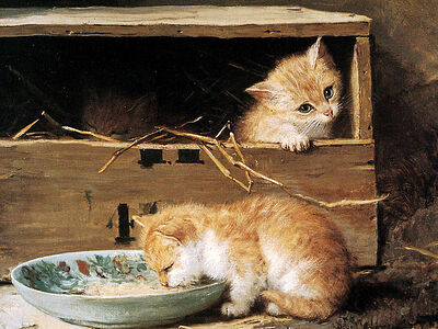 «Люди есть, а человека не нашлось»