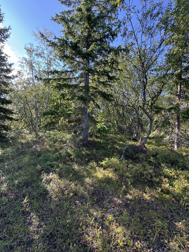 The astounding, pristine nature of Anzer