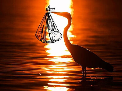 Священный Синод установил день особой молитвы о вразумлении имеющих намерение совершить убиение младенца во утробе