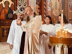 Explosive growth at Colorado Springs churches—new catechumens almost weekly