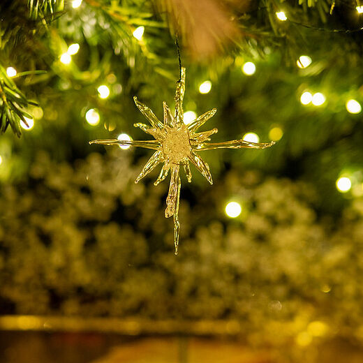 Following the Star of Bethlehem. The Spiritual Meaning of the Nativity Fast