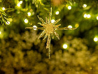 Following the Star of Bethlehem. The Spiritual Meaning of the Nativity Fast