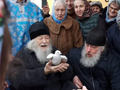 «Как птица собирает птенцов под крылья…»