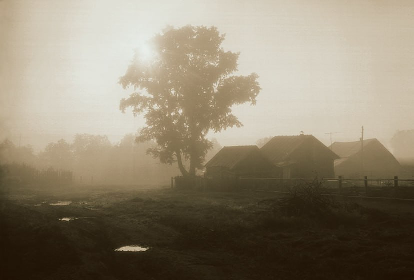 Завражное. 1993 г.