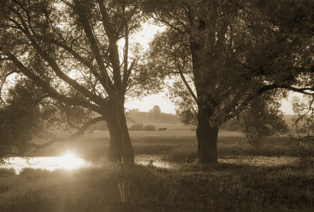 Вечерний разговор. 2002 г.