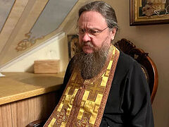Court: Ukrainophobia accusations against UOC’s Metropolitan Theodosy are completely baseless
