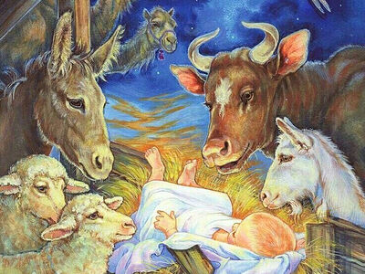 Рождественская история глазами животных