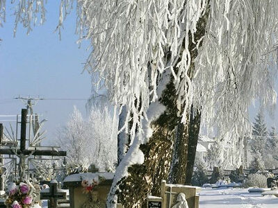 Любовь, которая никогда не перестает