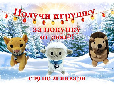 Подарки от «Вольного Странника»!