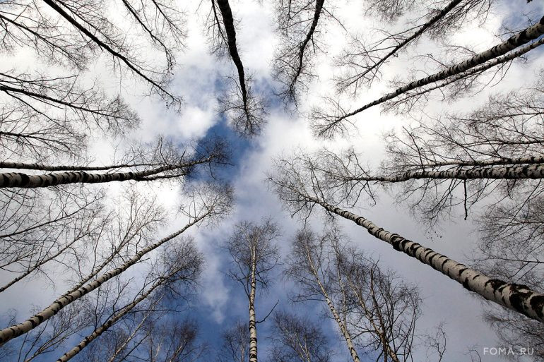 Έρχεται άνοιξη
