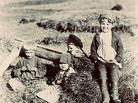 Кому же к 1917 году в Российской империи принадлежала земля?