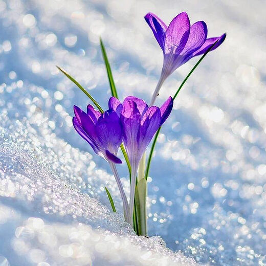 Blindness of the Heart: Why the World Does Not See God