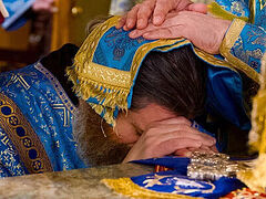 St Tikhon’s Seminary and OCA Diocese of the Midwest launch innovative clergy training program