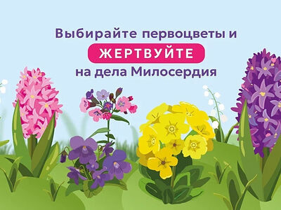 Стартовала акция в поддержку портала Милосердие.ru