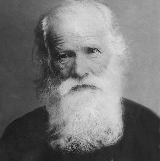 An Expression Full of Suffering. The Venerable Martyr Tavrion (Tolokontsev)