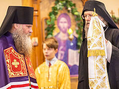 Bishop Gerasim nominated as Bishop of the South